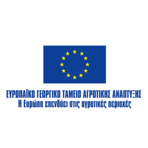 logo1